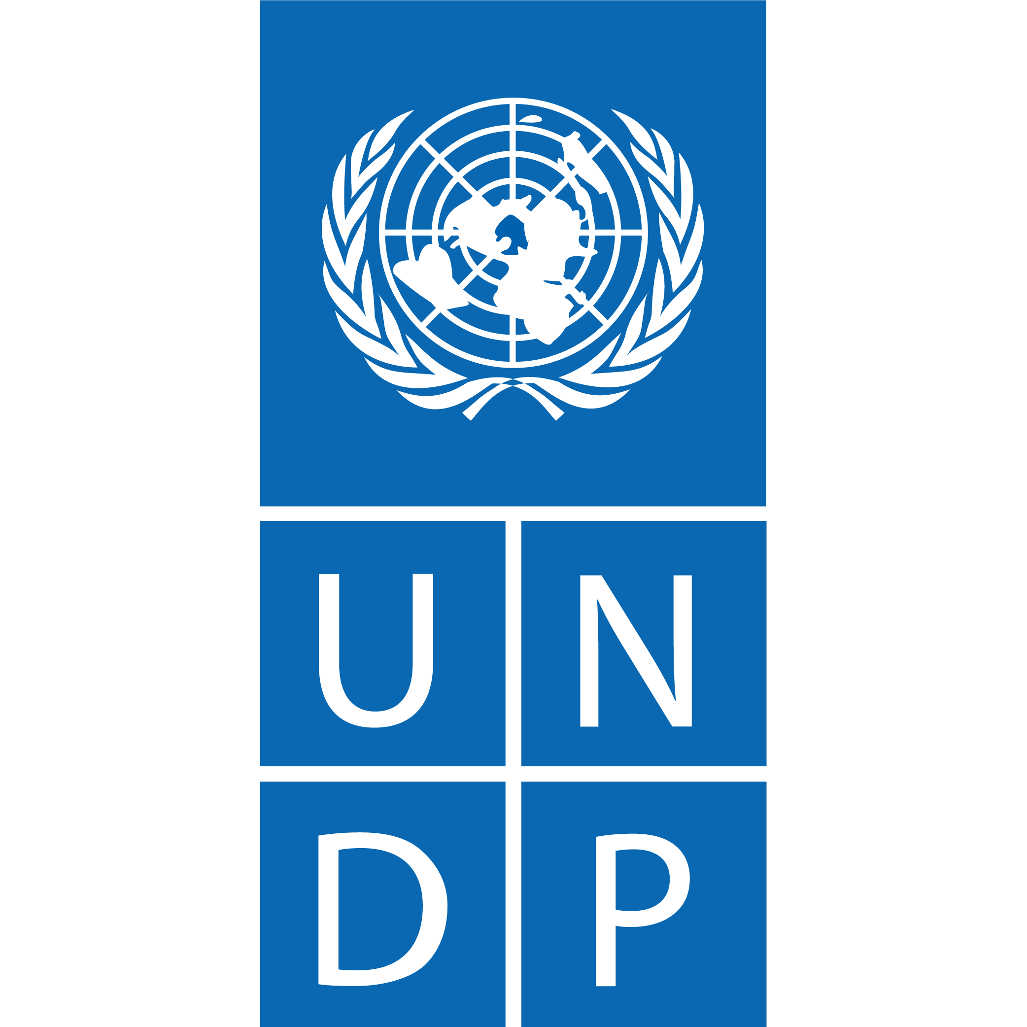 UNDP UNDP