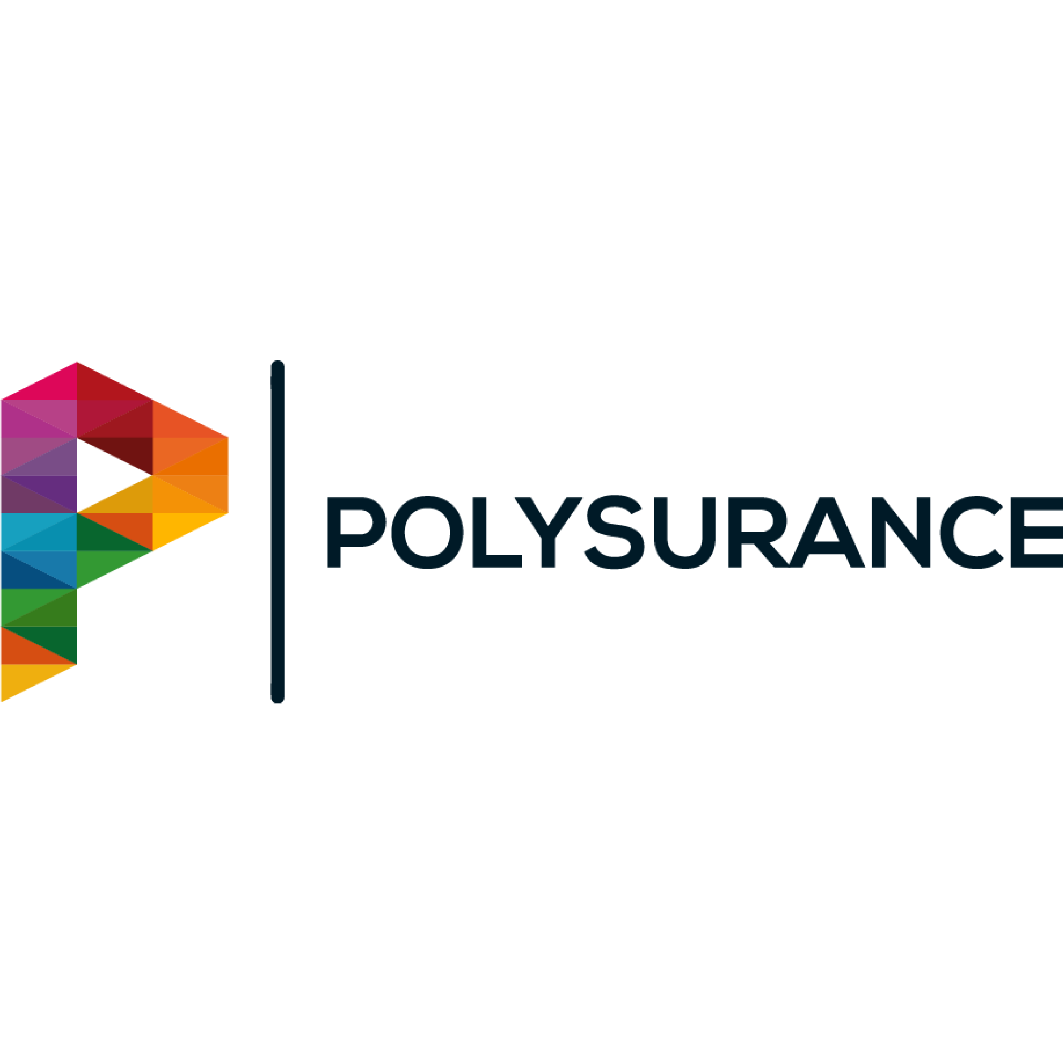 Polysurance Polysurance