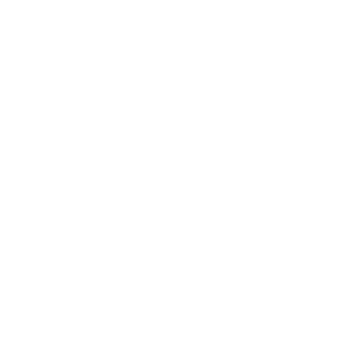 Owl Nation Owl Nation