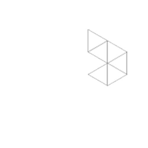 Robi Robi