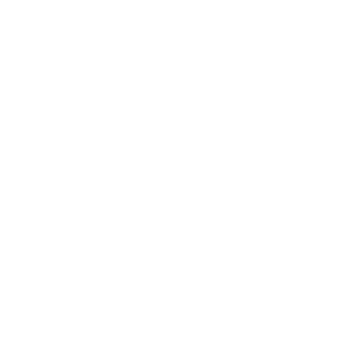 Suzuki Suzuki